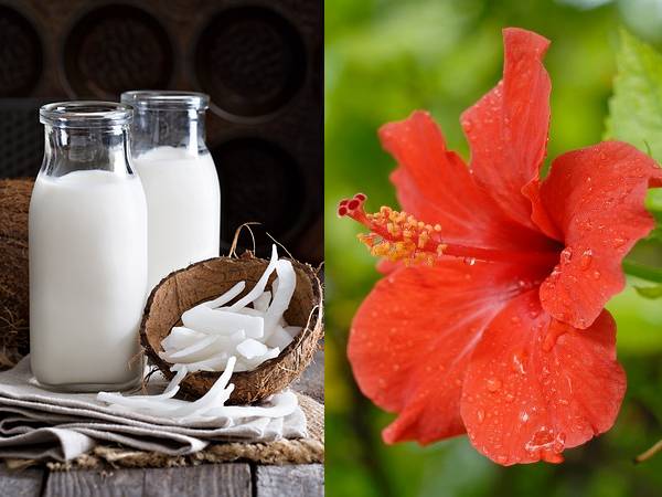 செம்பருத்தி மற்றும் தேங்காய் பால்