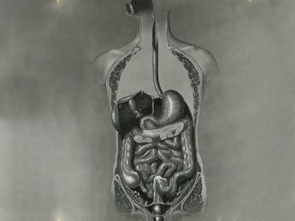 சிக்கல்கள்