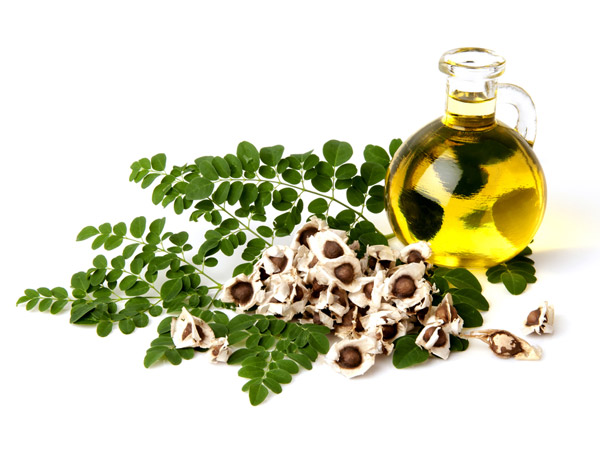 Moringa Oil: One Oil With Innumerable Health Benefits 