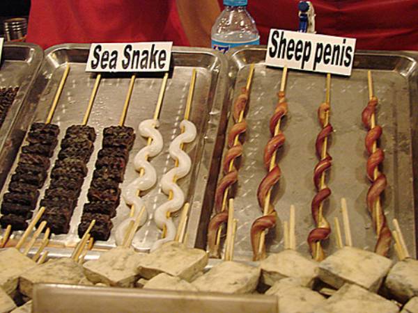 செம்மறி ஆட்டின் ஆண்குறி