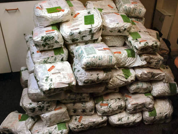 கட்டுக்கதை 13