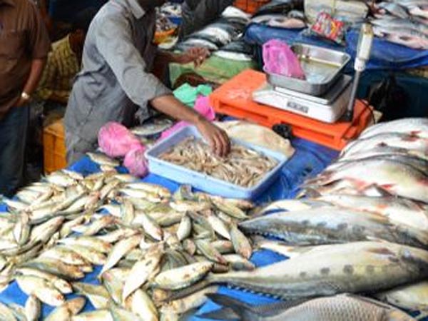 எவ்வாறு பயன்படுத்தப்படுகிறது?