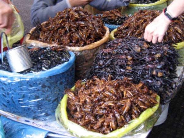 கரப்பான், பாம்பு, தேள்