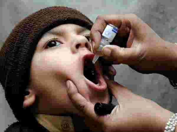 ஜோனாஸ் சல்க்