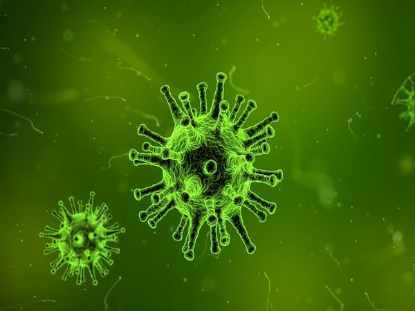 H7N9 - பறவைக் காய்ச்சல்