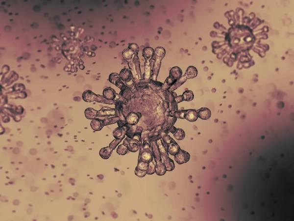 லாயிட்-ஸ்மித் கூற்று... லாயிட்-ஸ்மித் கூற்று...