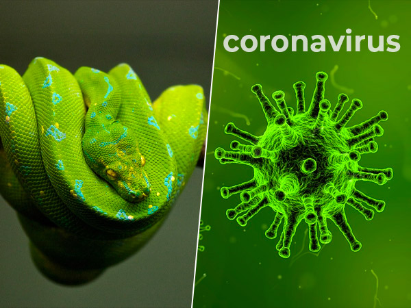 பரவும் முறை