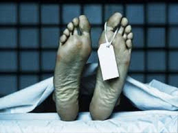 செல்கள் திறந்திருக்கும்