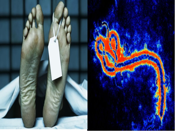 சரியான கை சுகாதாரத்தை பராமரித்தல்