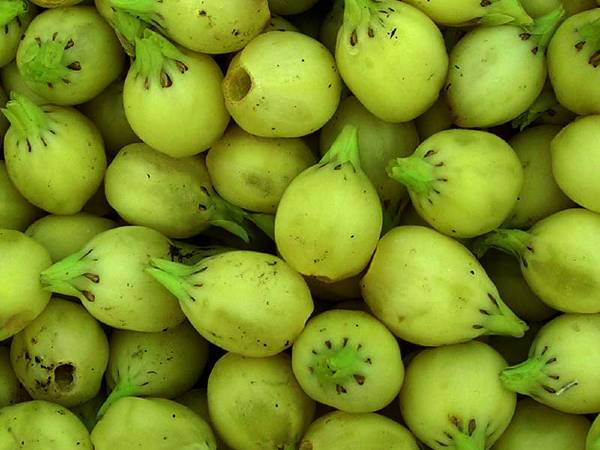 பக்க விளைவுகள்: