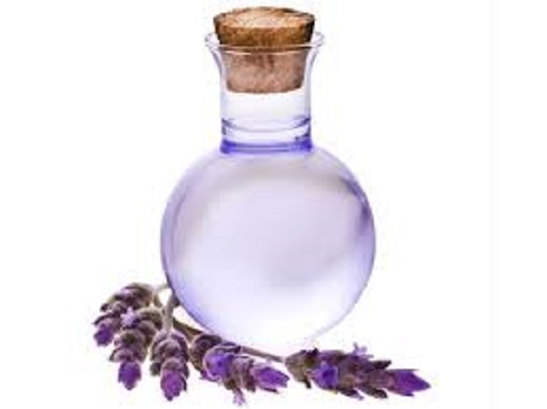 லாவண்டர் பூ