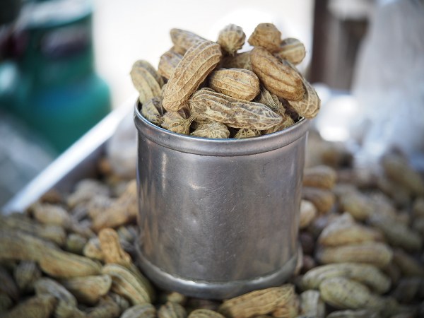 வேர்க்கடலை 