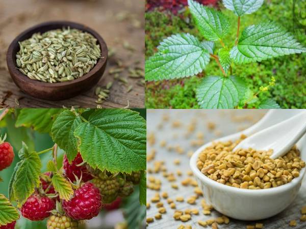 தேவையான பொருட்கள்: