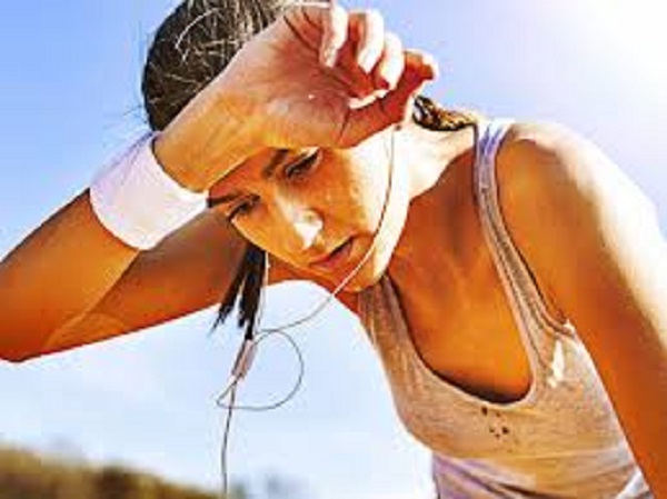 எக்ரைன் வியர்வை சுரப்பிகள்