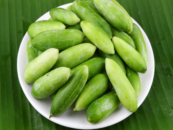 புடலங்காய்