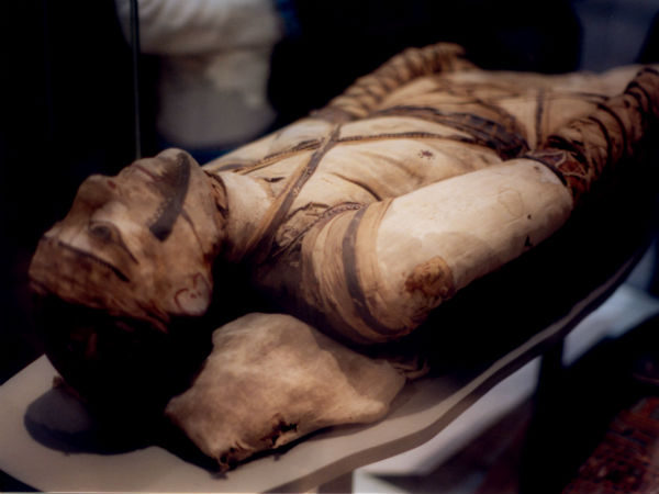 கிங் ஃபிரான்