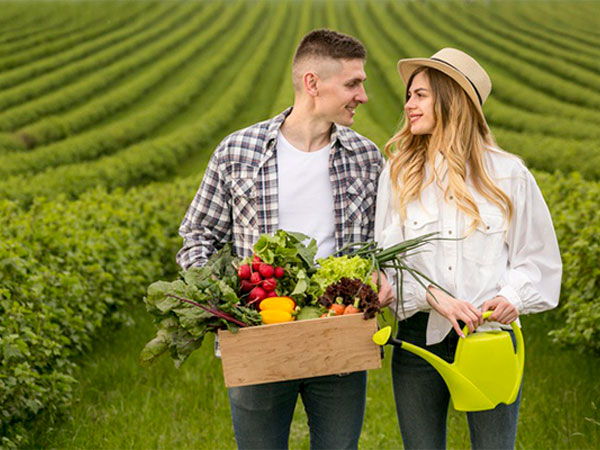 ஆர்டர்களை பரிந்துரைகளாக மாற்றவும்