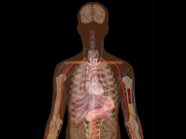 கடுமையான சுவாசக் கோளாறு நோய்க்குறி (Acute Respiratory Distress Syndrome) கடுமையான சுவாசக் கோளாறு நோய்க்குறி (Acute Respiratory Distress Syndrome)