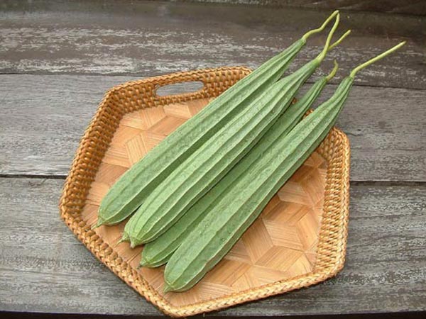 பீர்க்கங்காய்