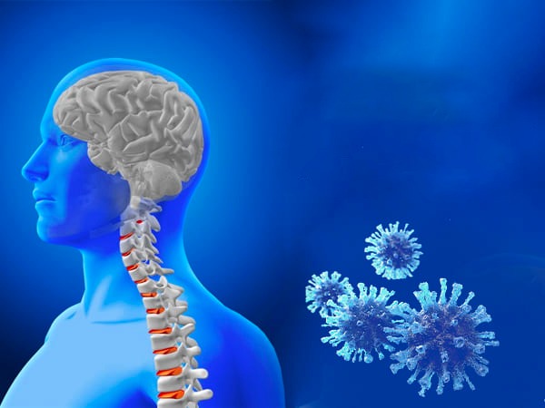 COVID-19 May Affect The Entire Nervous System Of Patients: Beware Of These Symptoms COVID-19 May Affect The Entire Nervous System Of Patients: Beware Of These Symptoms