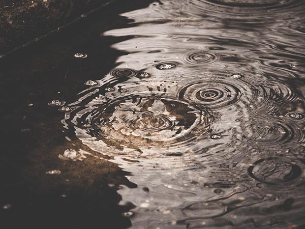 எப்படி தடுக்கப்பட்டது?