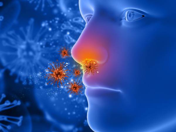 WHO Finally Admits COVID-19 May Be Airborne: Here’s What You Can Do To Avoid Airborne Pathogens WHO Finally Admits COVID-19 May Be Airborne: Here’s What You Can Do To Avoid Airborne Pathogens