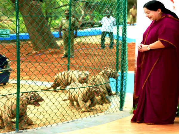 வீட்டின் அமைப்பு