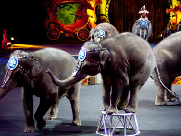  தொடர்புகொள்ளும் முறை