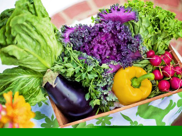 சாப்பிட வேண்டிய உணவுகள்: