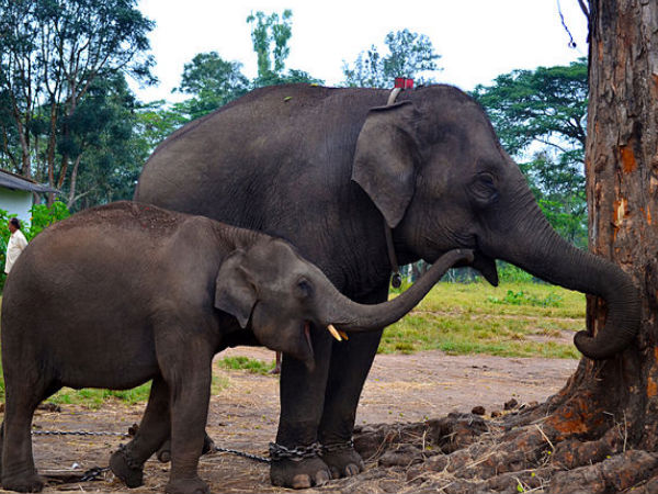 வெயிலால் பாதிக்கப்படலாம்