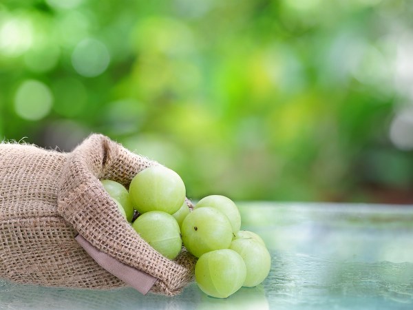 நெல்லிக்காயின் ஆரோக்கிய நன்மைகள்