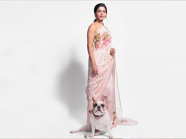 பிரிண்ட்டட் புடவை