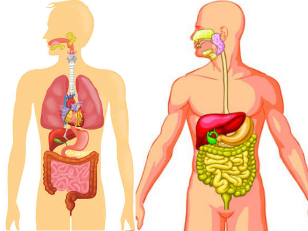 உடலின் உள் சிகிச்சைக்கு உதவும் ஆயுர்வேத பொருட்கள்