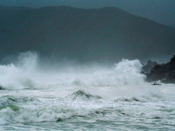 வேவ்லேண்ட்