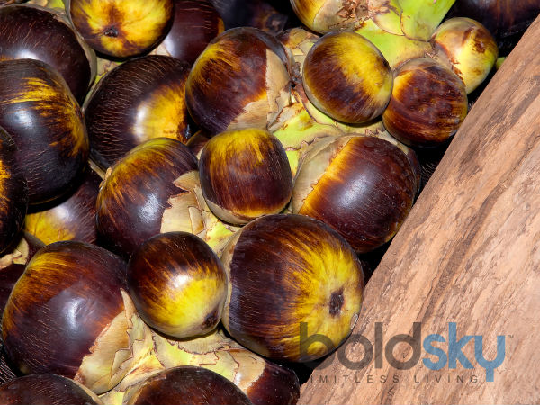 நுங்கு (Ice Apple or Sugar Palm Fruit)