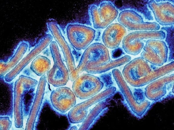 CDC தொற்றுநோயியல் நிபுணர் கூற்று...