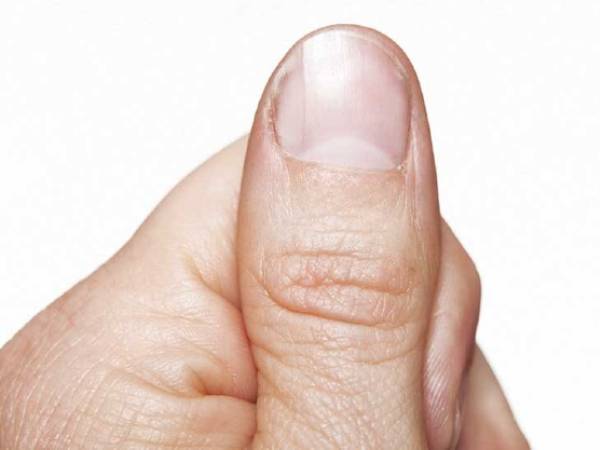 மிகப்பெரிய பிறை