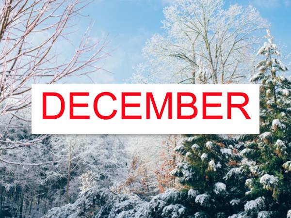 நான்காவது வகை