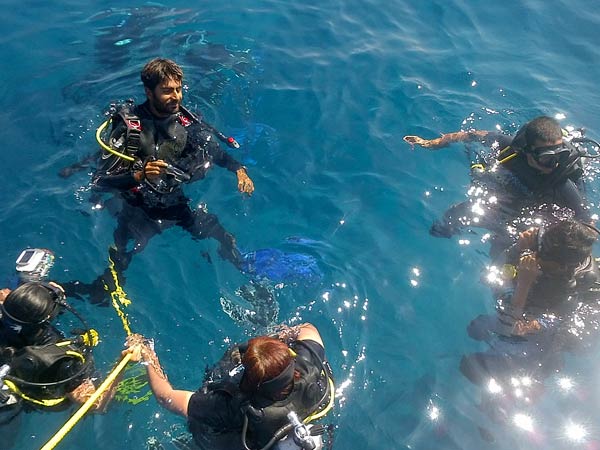 கடலில் குதிப்பது