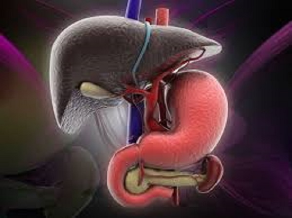 நச்சுக்களை அகற்றுகிறது நச்சுக்களை அகற்றுகிறது