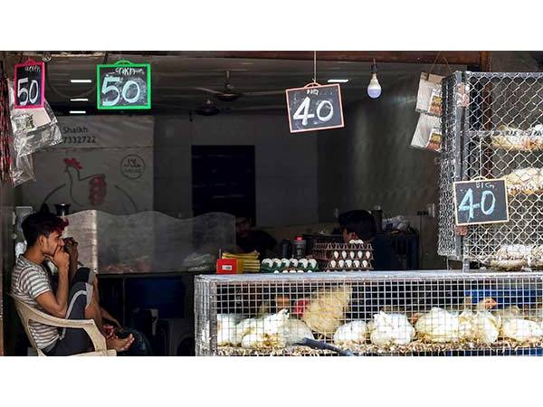 7. கோழி விற்கும் கடைக்கு அருகில் உள்ள கடைக்கு சென்றால் பறவைக் காய்ச்சல் வருமா?