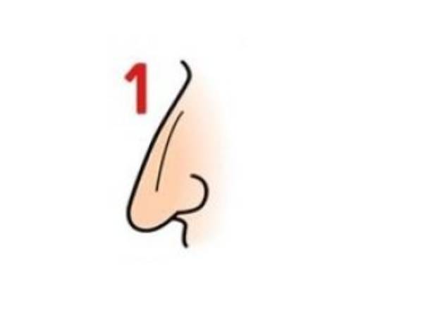 நுபியன் மூக்கு