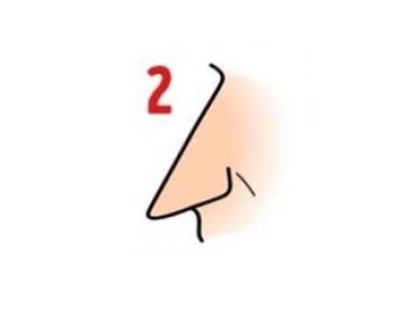 கிரேக்க மூக்கு