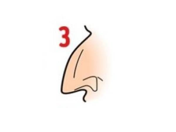 கொக்கி வடிவிலான மூக்கு