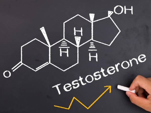 டெஸ்டோஸ்டிரோன்