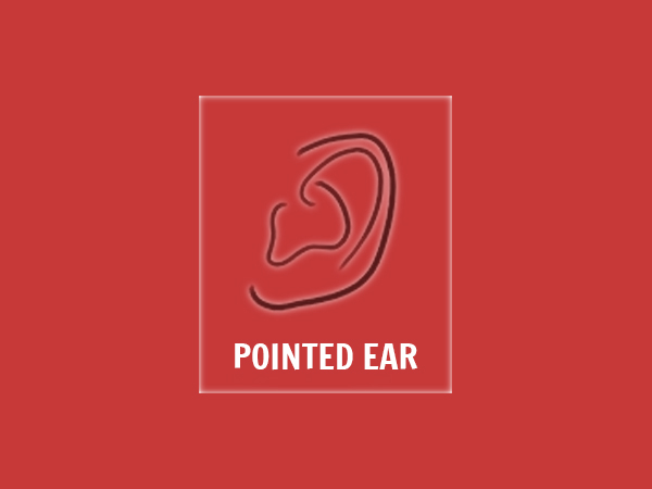 பாயிண்டட் காது