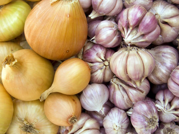 முளைத்த பூண்டு மற்றும் வெங்காயத்தை என்ன செய்வது?