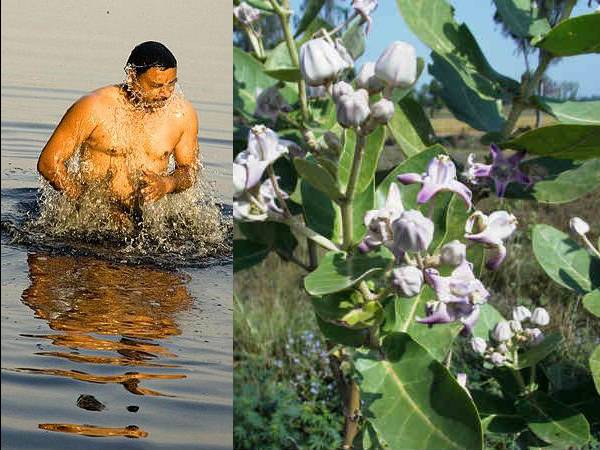 ரத சப்தமியில் குளிக்கும் போது செய்ய வேண்டியவை