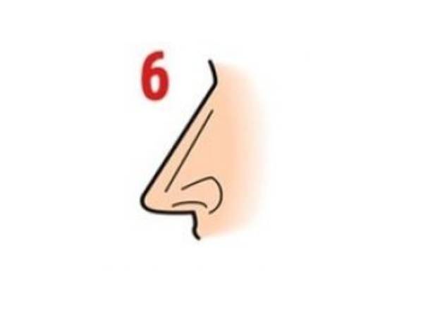 நேரான மூக்கு