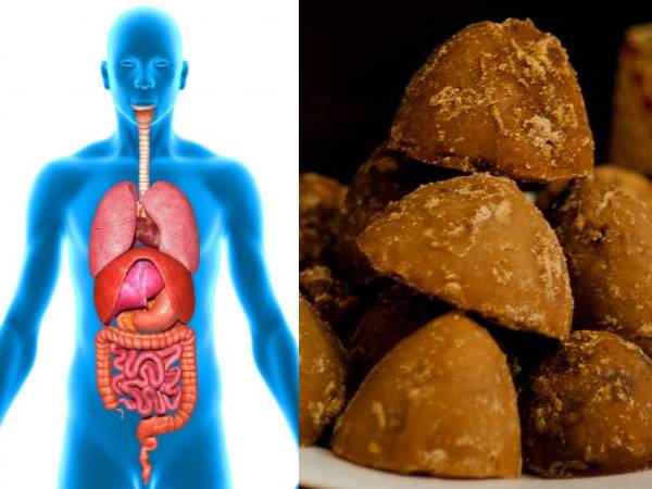 Benefits Of Having Date Palm Jaggery Benefits Of Having Date Palm Jaggery